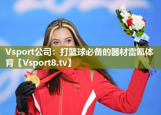 <strong>Vsport公司：打篮球必备的器材雷氪体育</strong>