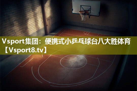 Vsport集团：便携式小乒乓球台八大胜体育