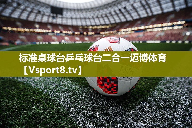 标准桌球台乒乓球台二合一迈博体育