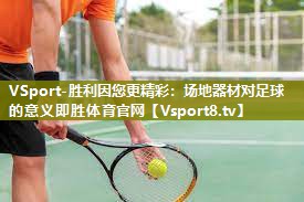 VSport-胜利因您更精彩：场地器材对足球的意义即胜体育官网