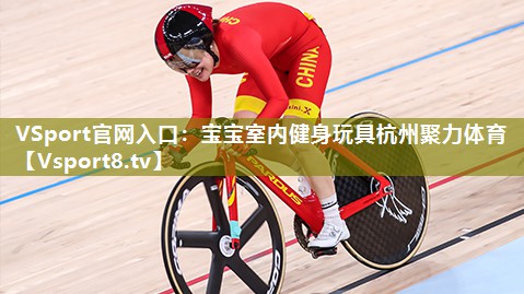 VSport官网入口：宝宝室内健身玩具杭州聚力体育