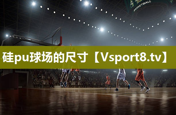 硅pu球场的尺寸