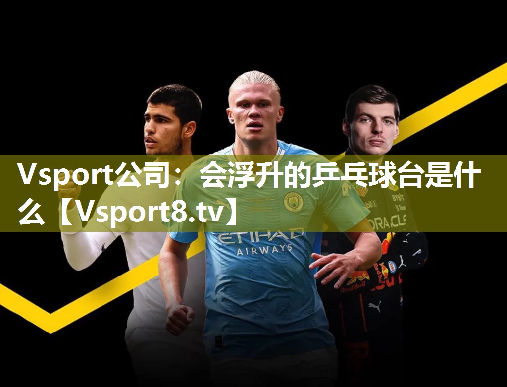 Vsport公司：会浮升的乒乓球台是什么