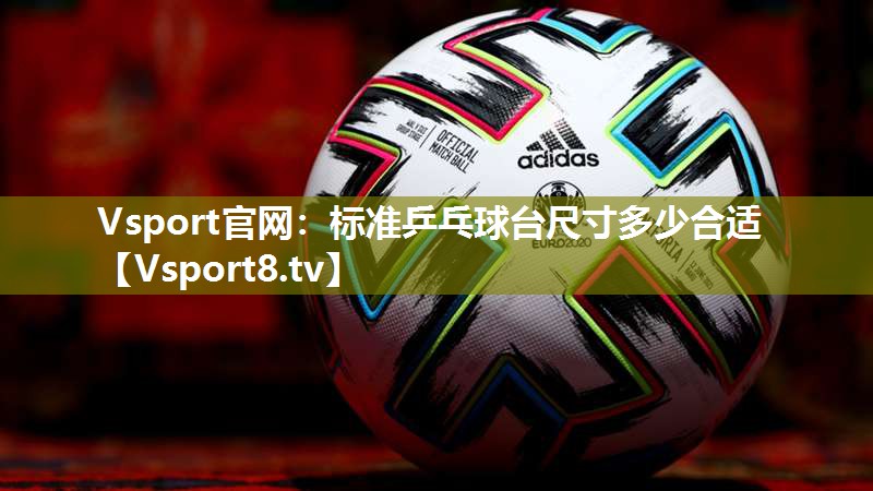 Vsport官网：标准乒乓球台尺寸多少合适
