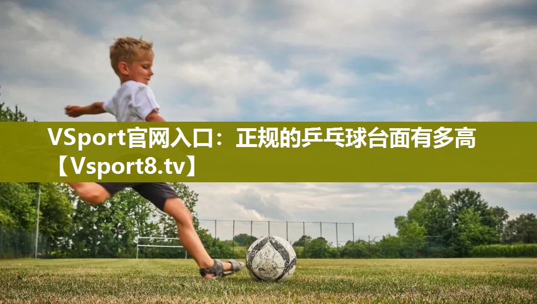 VSport官网入口：正规的乒乓球台面有多高
