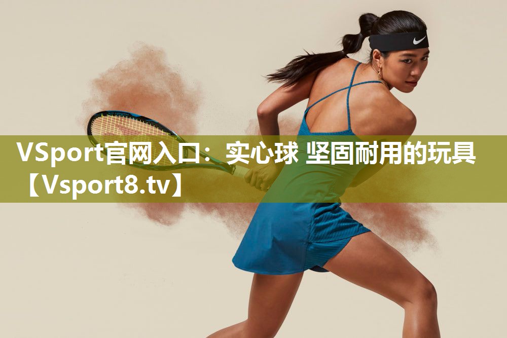 VSport官网入口：实心球 坚固耐用的玩具