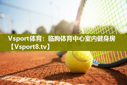 Vsport体育：临朐体育中心室内健身房