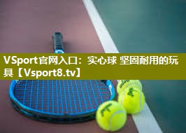 实心球 坚固耐用的玩具